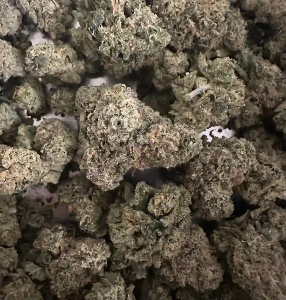 PACIFFIC GAS 