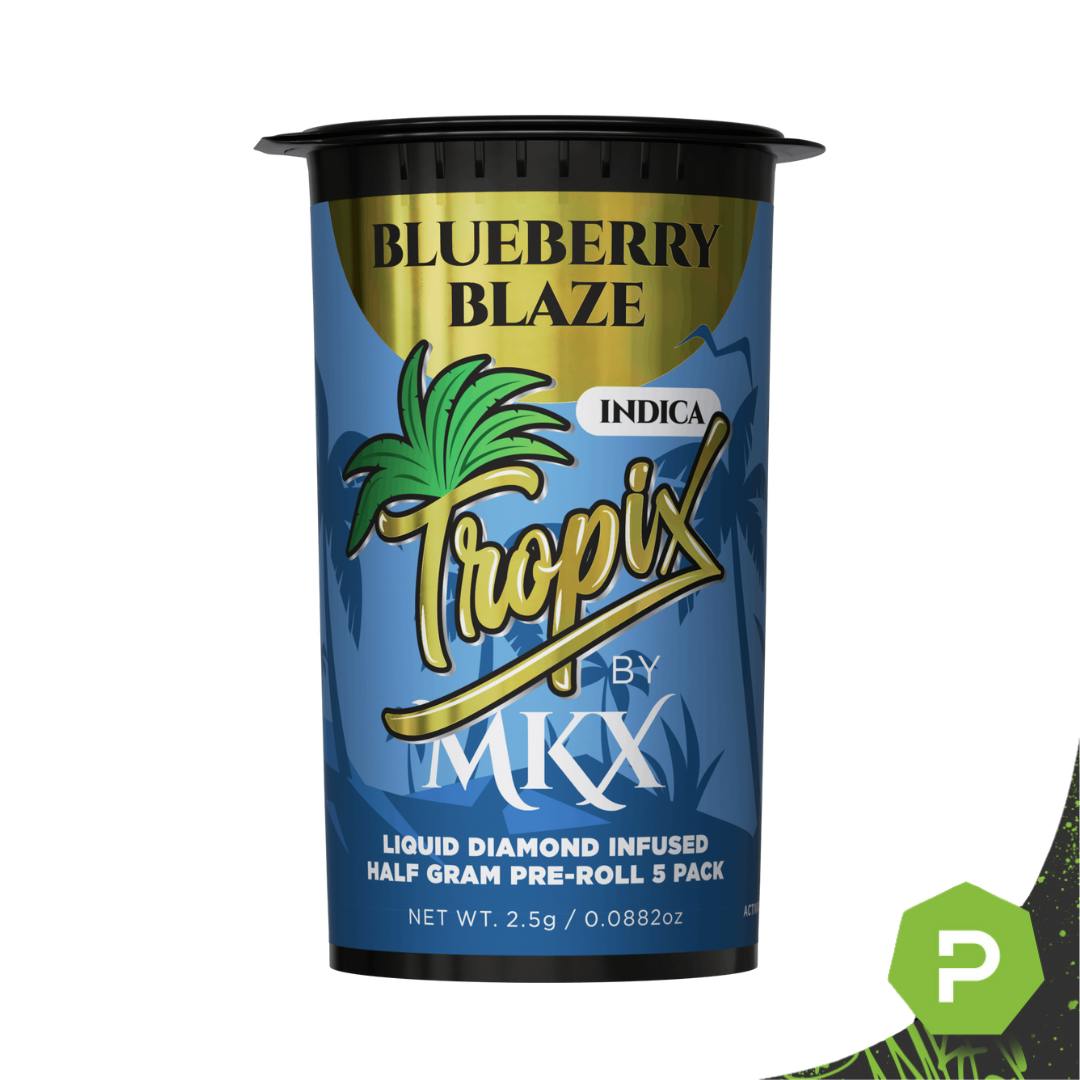BLUEBERRY BLAZE