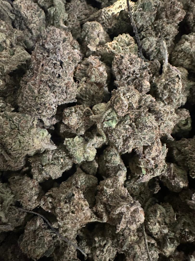 BONSAI TREE CRACK!!!!