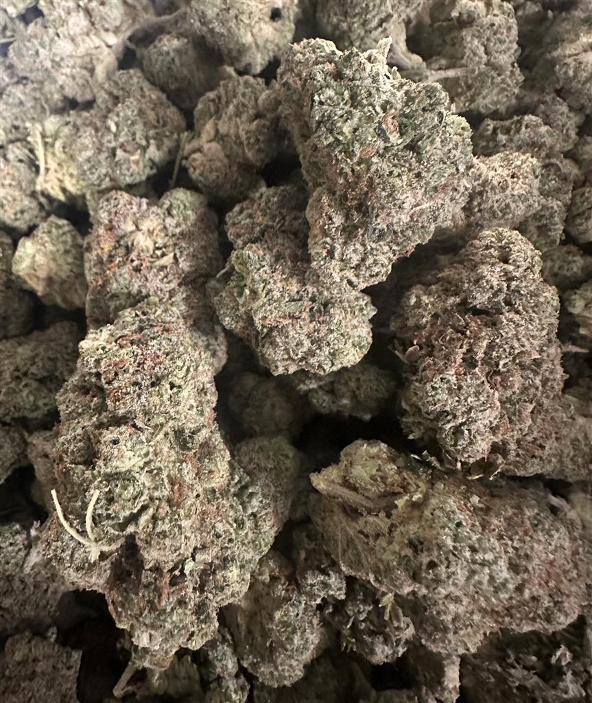 SUNNY D FIRE!!!!!!!!