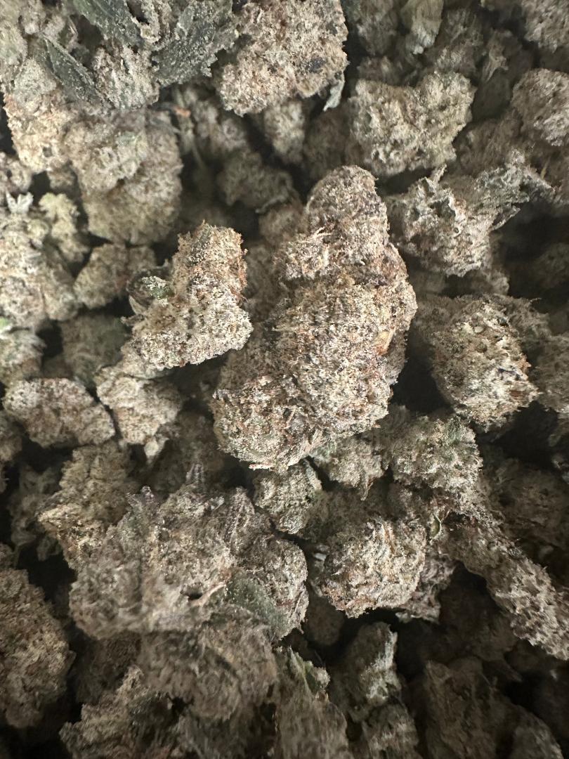GG#4 BEST DEAL FIRE!!