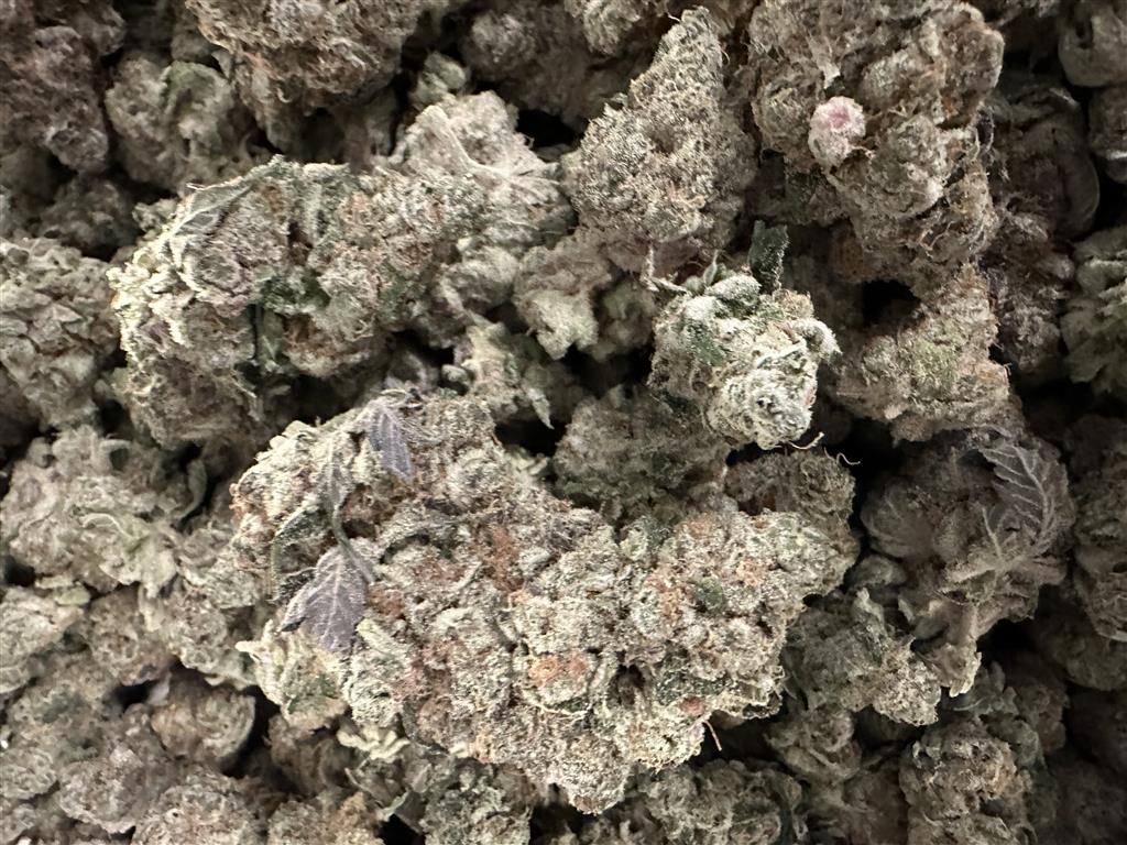 RAINBOW SHERBET 