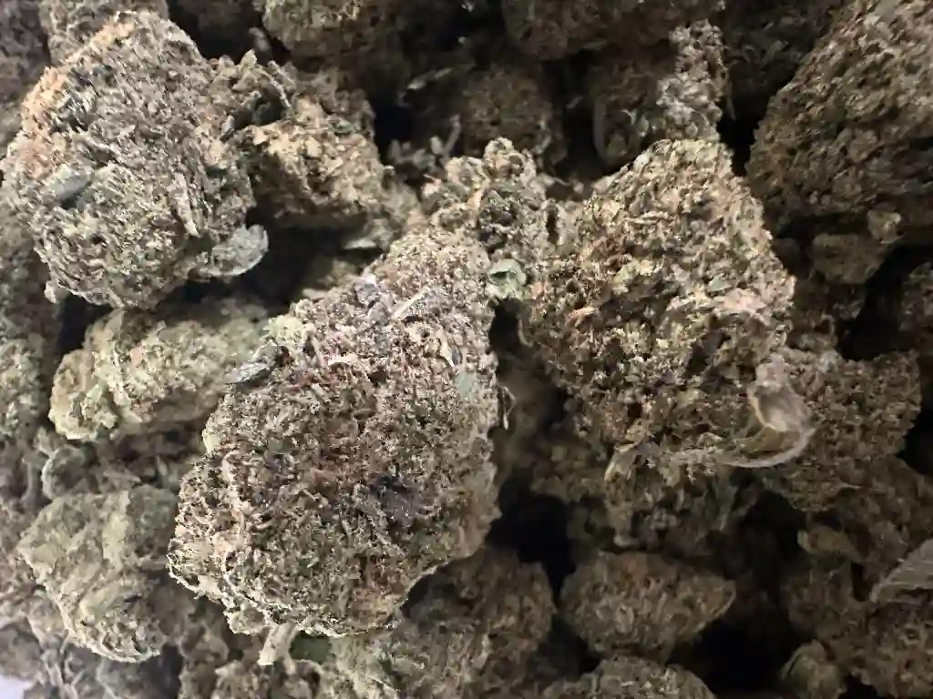 NEPAL KUSH