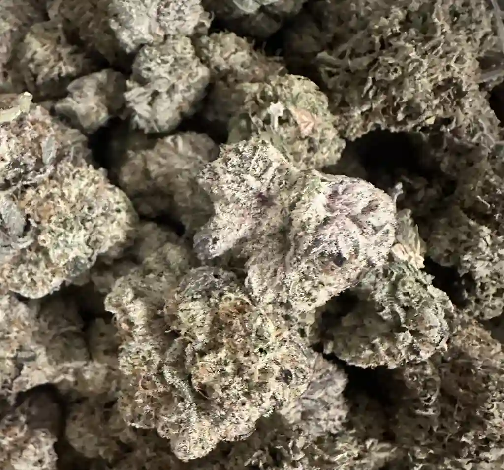 GORILLA GAS FIRE!!!