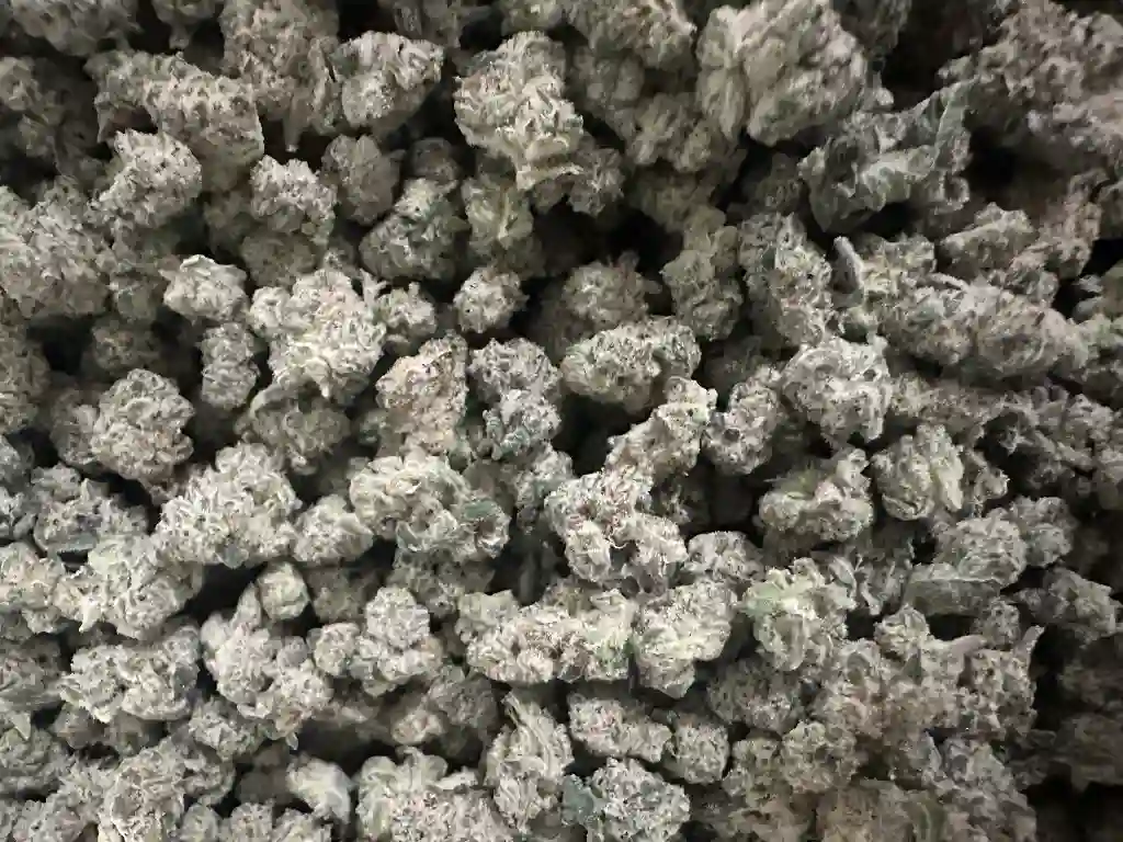CAPTAIN CRUNCH SMALLS 