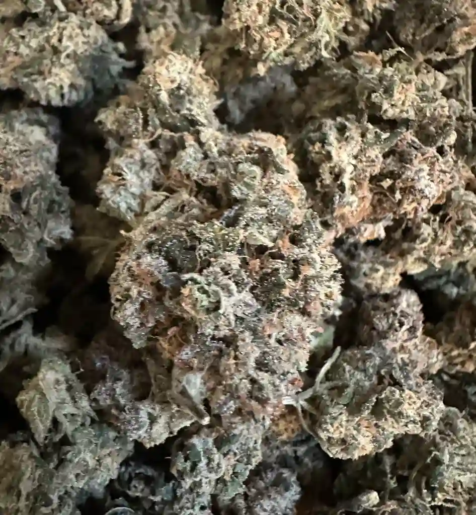 PURPLE ALIEN KUSH CRACK!!!