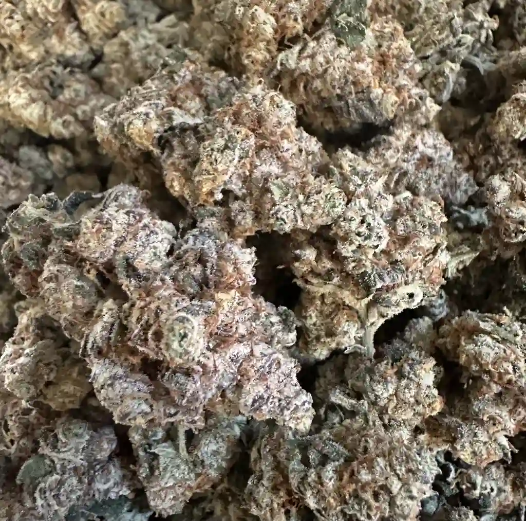 RED HEADED STEPCHILD CRACK!!