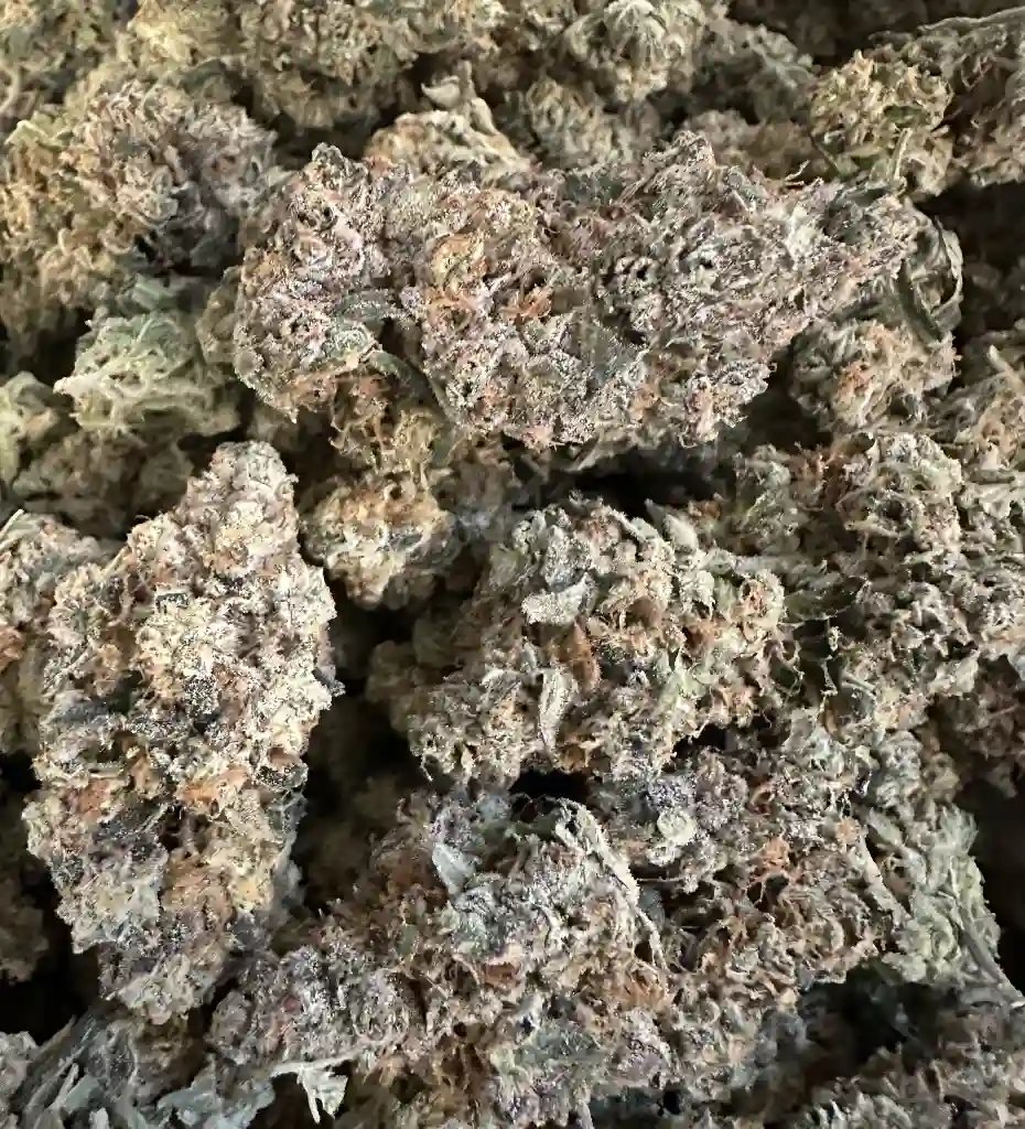 RED HAWAIIAN FIRE!!!