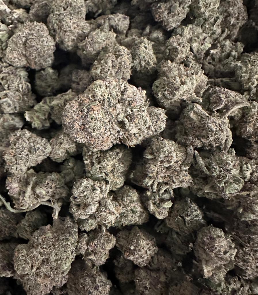 CANDY JACK