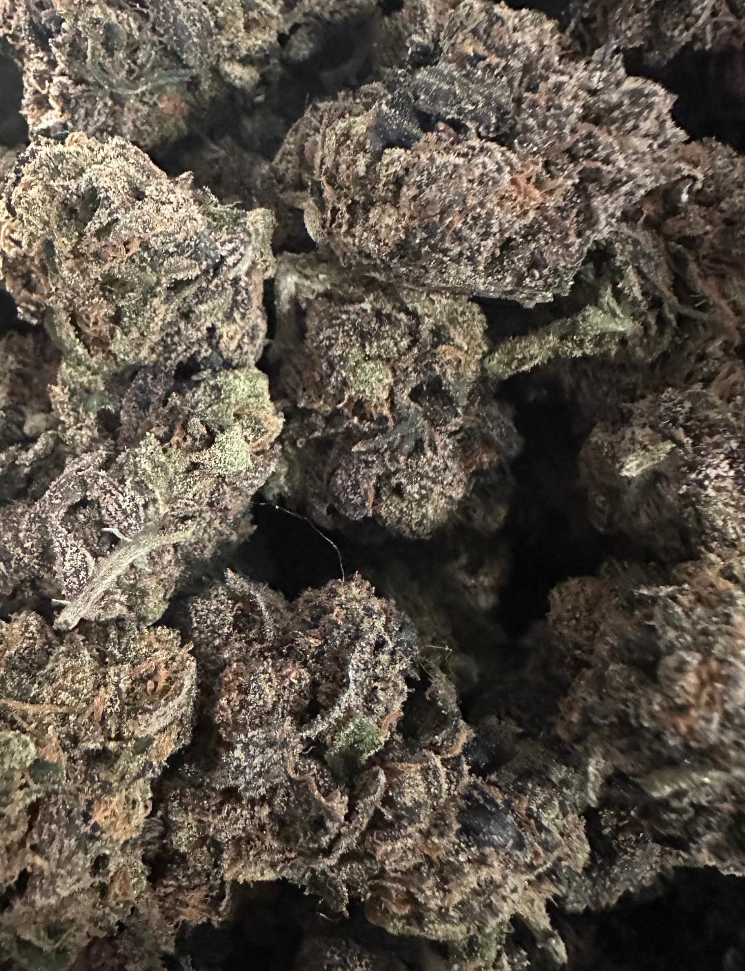 PURPLE KILLER CRACK!!