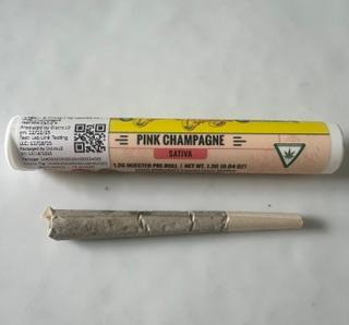 PINK CHAMPANGE 