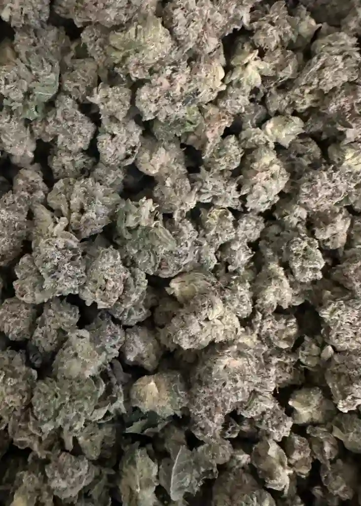 SAMOAS COOKIES SMALLS