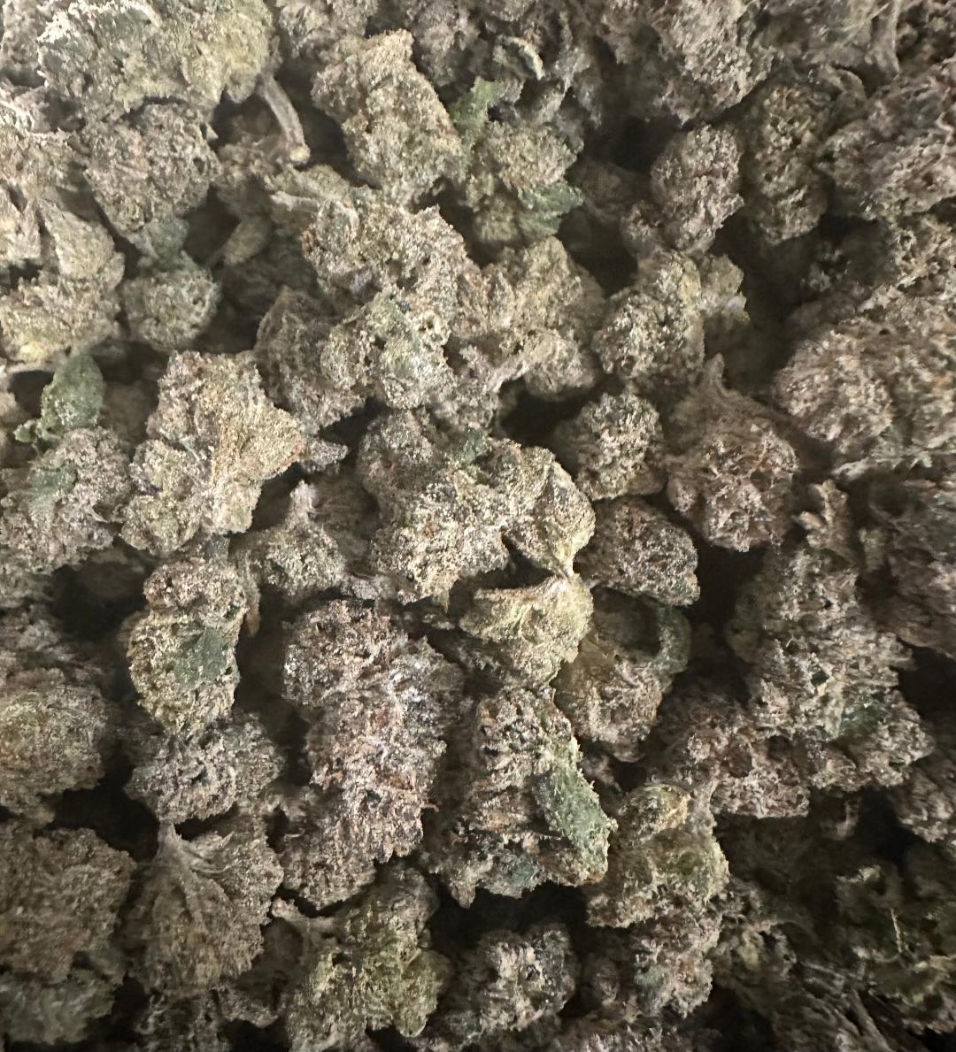 SHERB CREAM PIE FIRE!