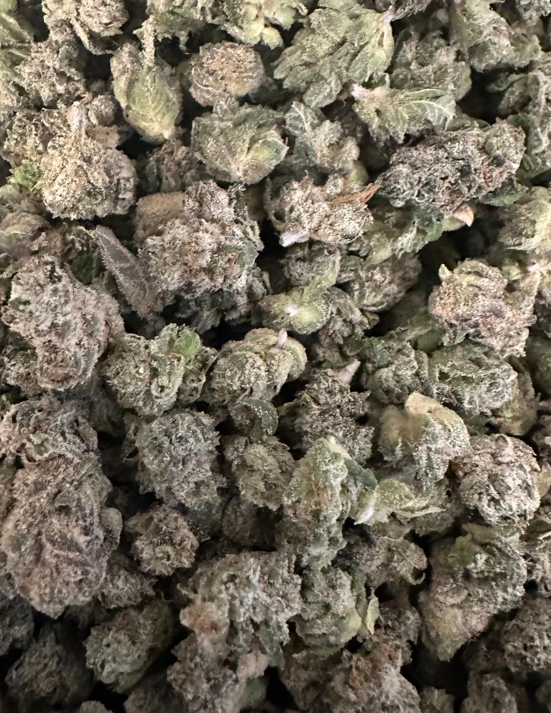 WHITE KNIGHT SMALLS 