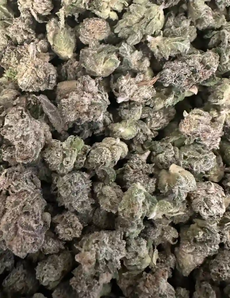 WHITE KNIGHT SMALLS 