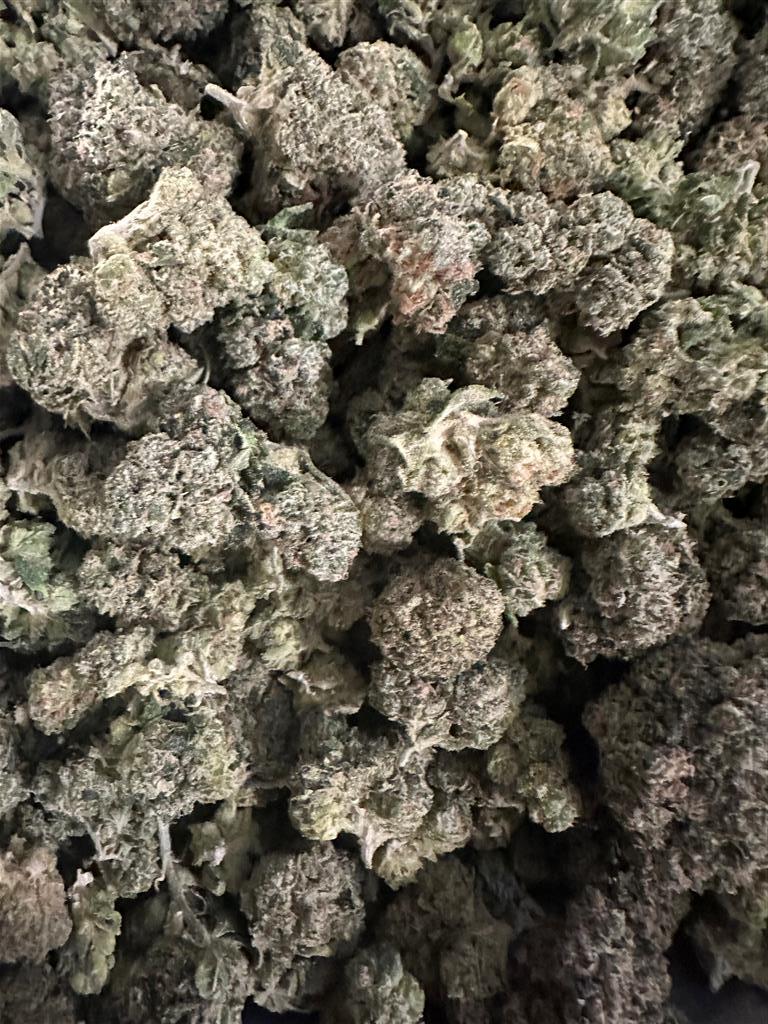 SOUR APPLE GREAT BUY