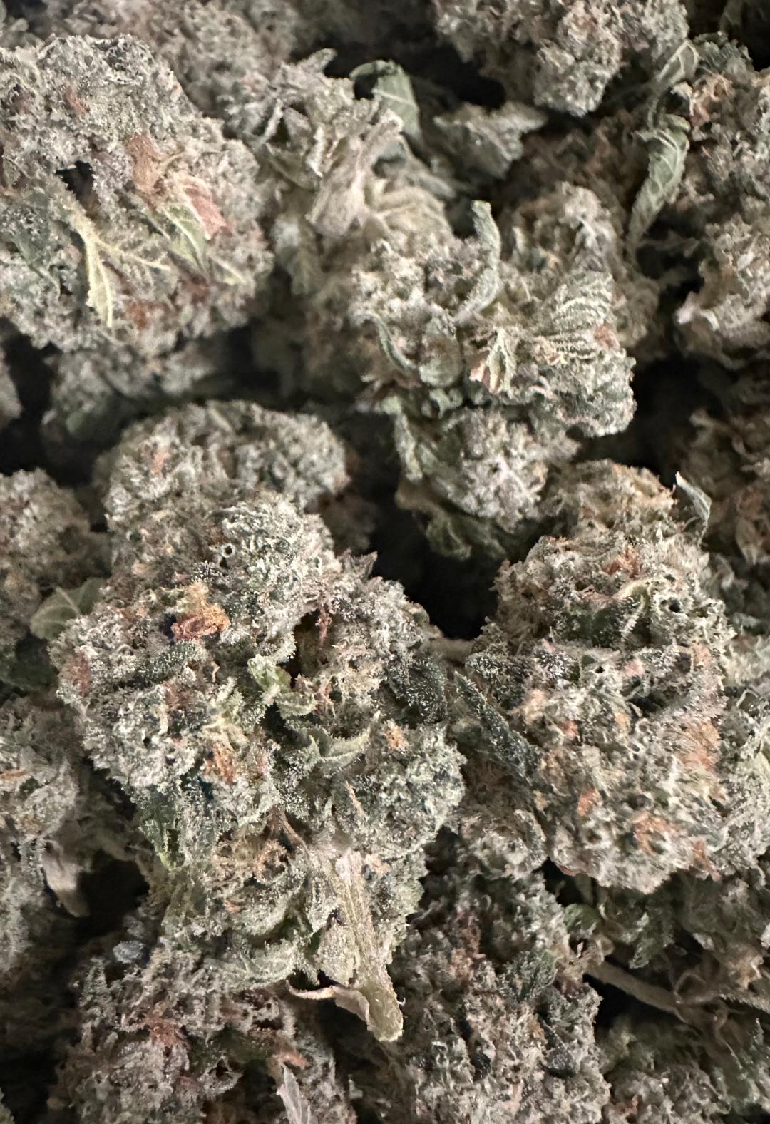 JUNGLE SPICE