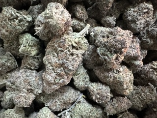 FUTURE FIRE!!!!