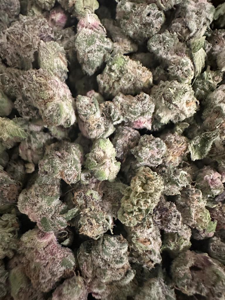 MIMOSA PUNCH SMALLS