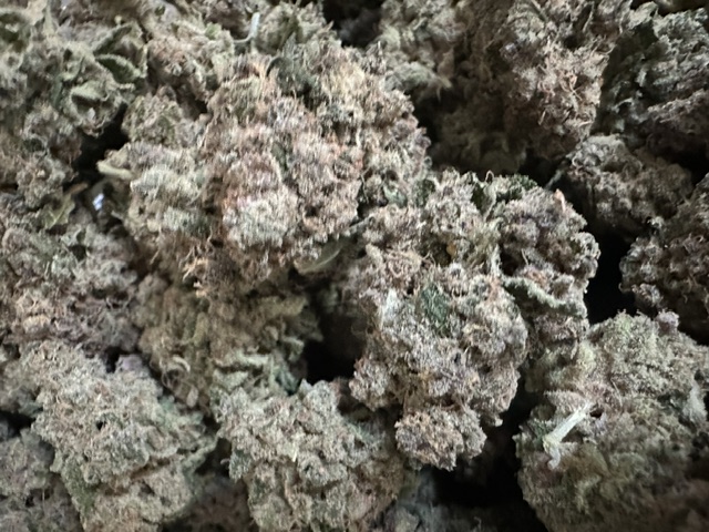 MIMOSA
