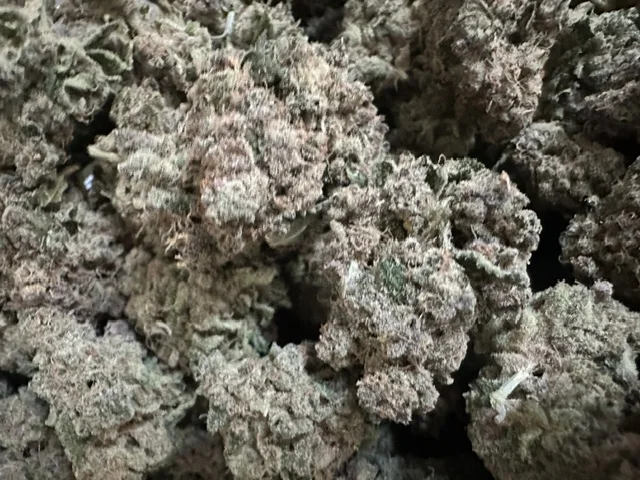 MIMOSA