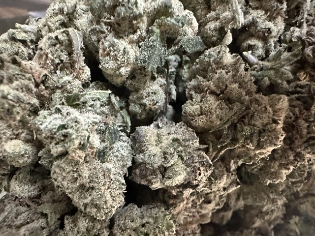 APRICOT-PAPAYA 