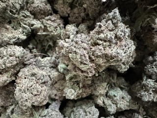 TROPICAL CHEM